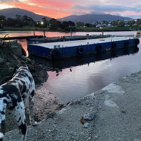 marine-construction-ocean-salvage-concrete-moorning-hobart-launceston-tasmania-2